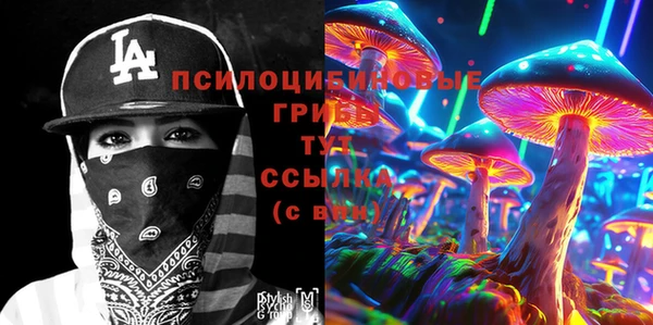 apvp Абаза