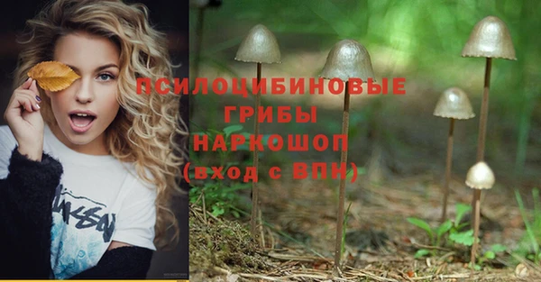 apvp Абаза